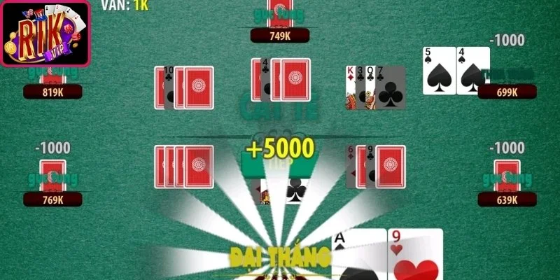 Cách Chơi Catte Chuẩn Xác Và Chi Tiết Cho Tân Binh 2 Các bước thực hành cách chơi Catte cho người mới